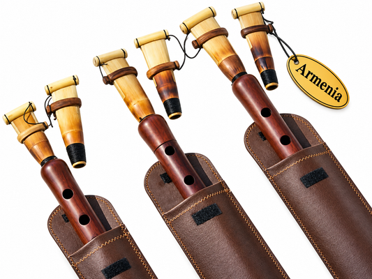 3 Armenian Professional Duduk A,C,D +6 REEDS 3 Leather Case DUDEK Professional Oboe Flute Mey
